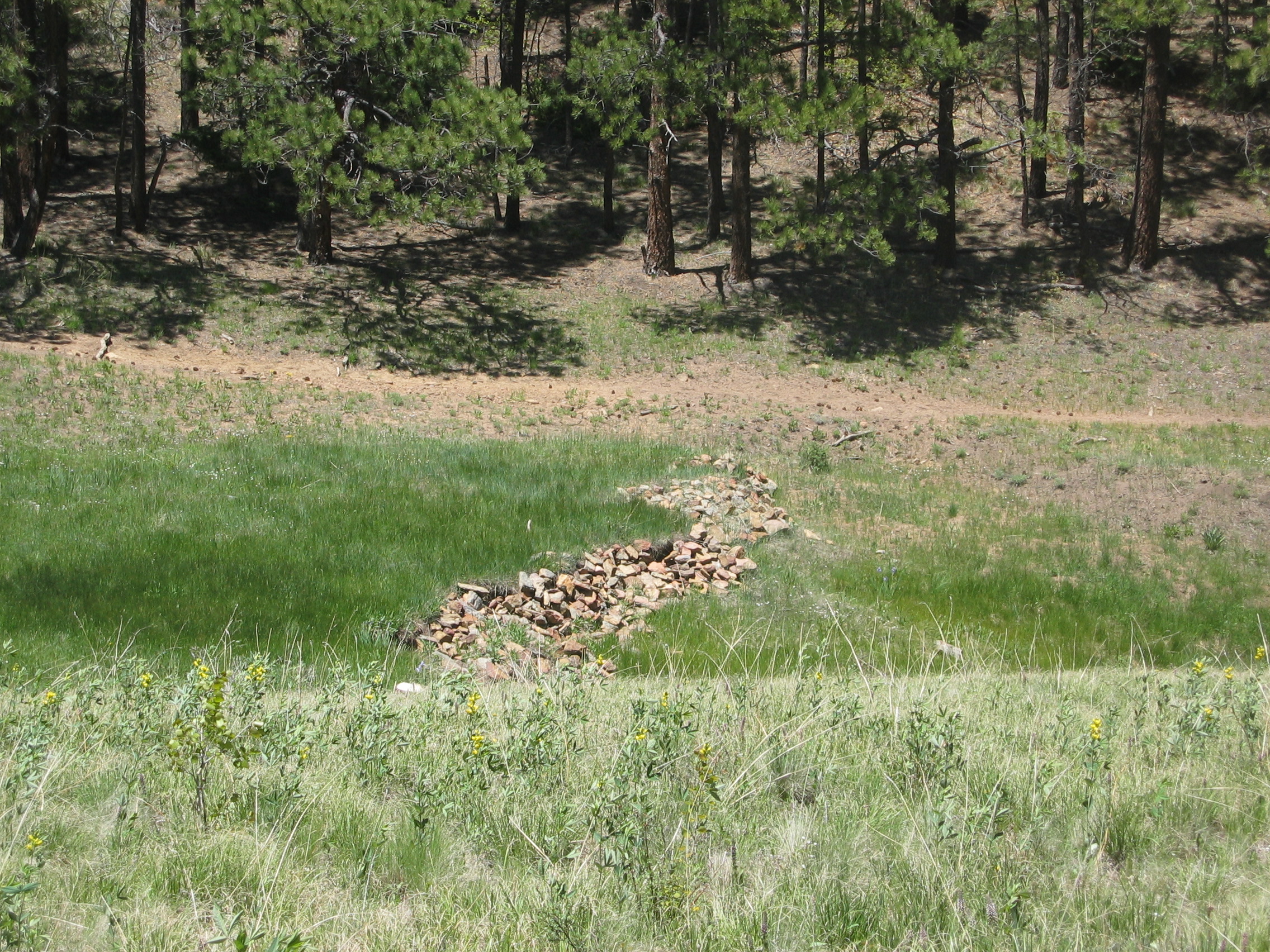 rock checkdam 