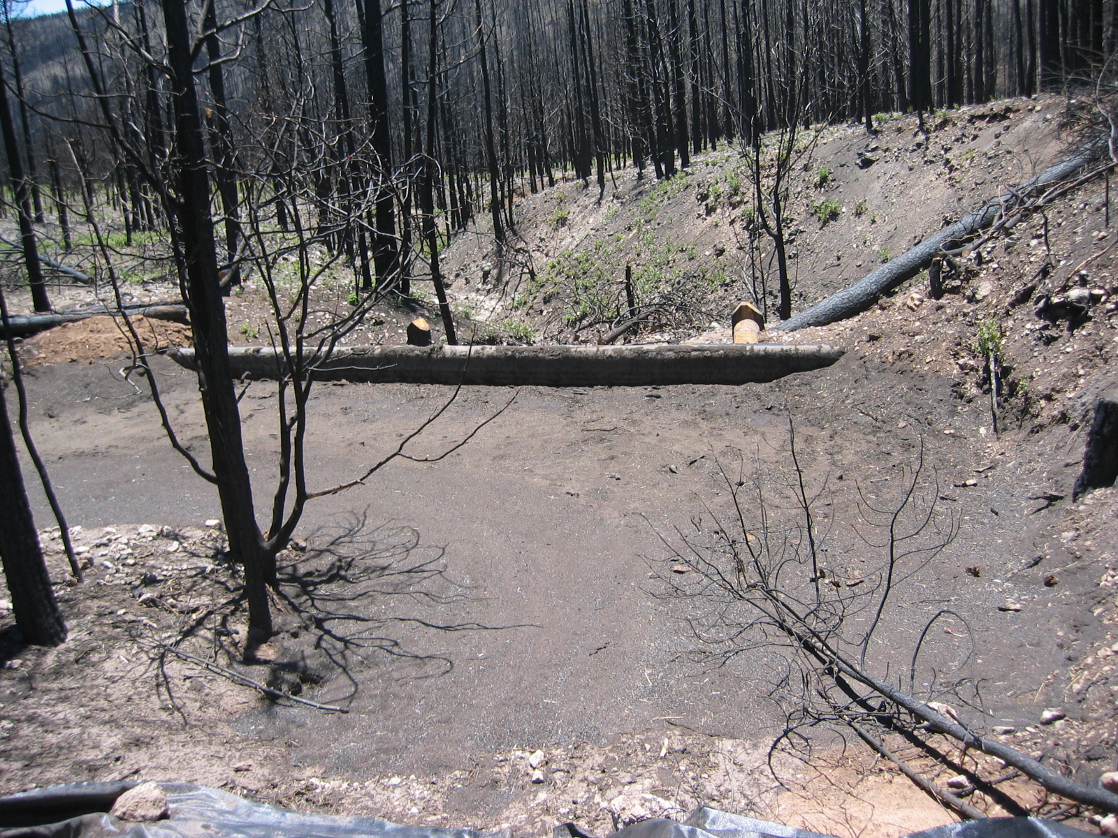 Debris Basin — After Wildfire