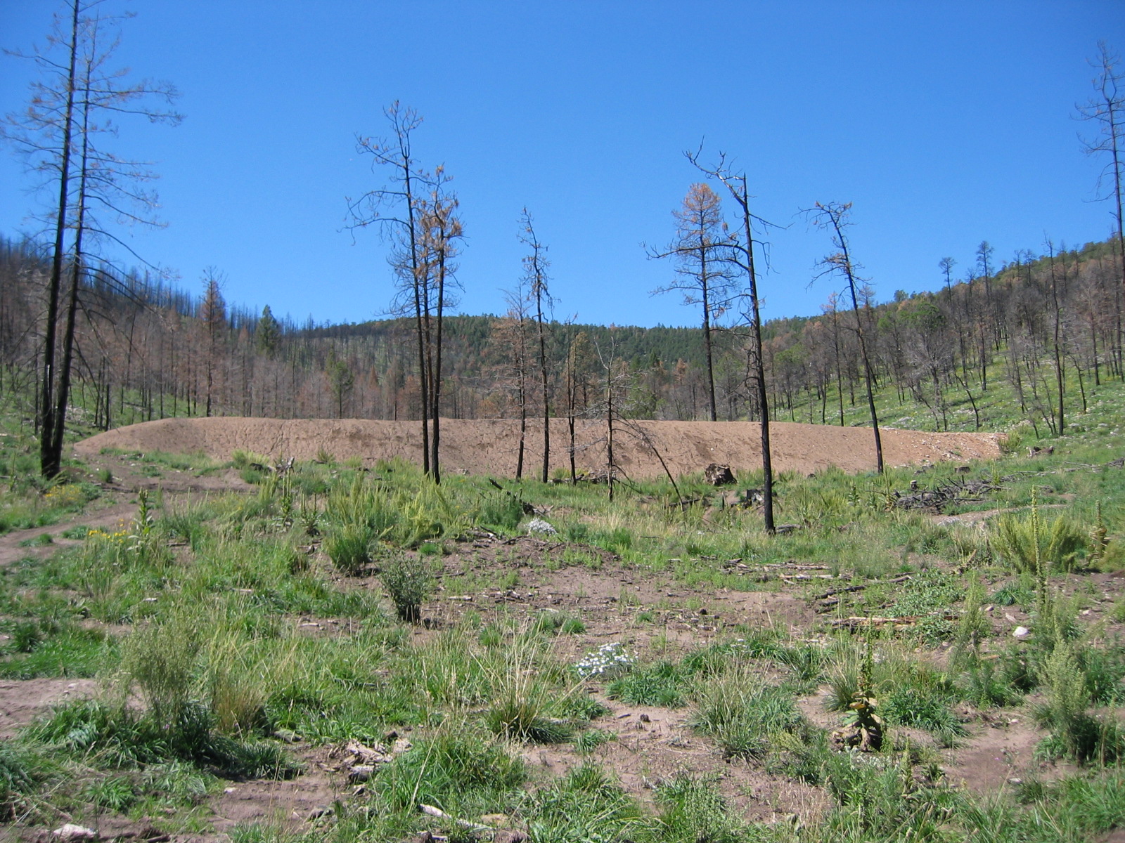 debris basin post fire