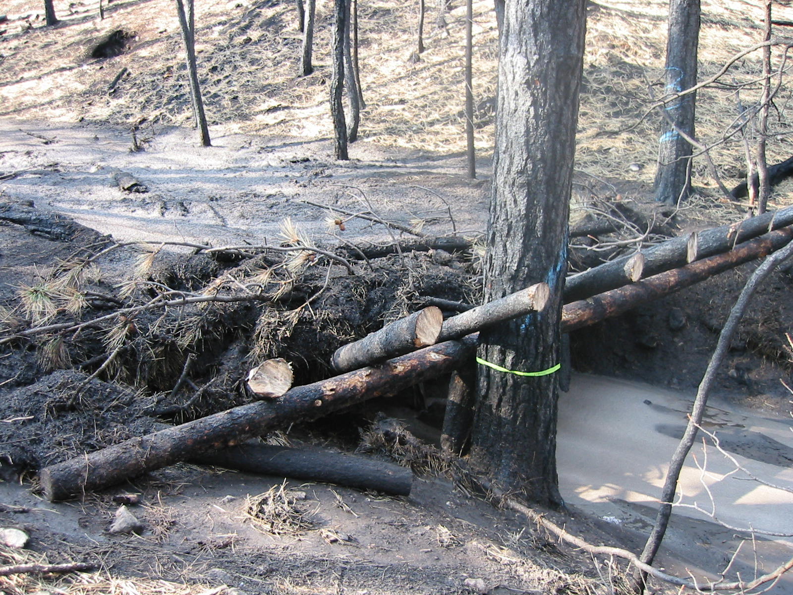 debris rack post fire