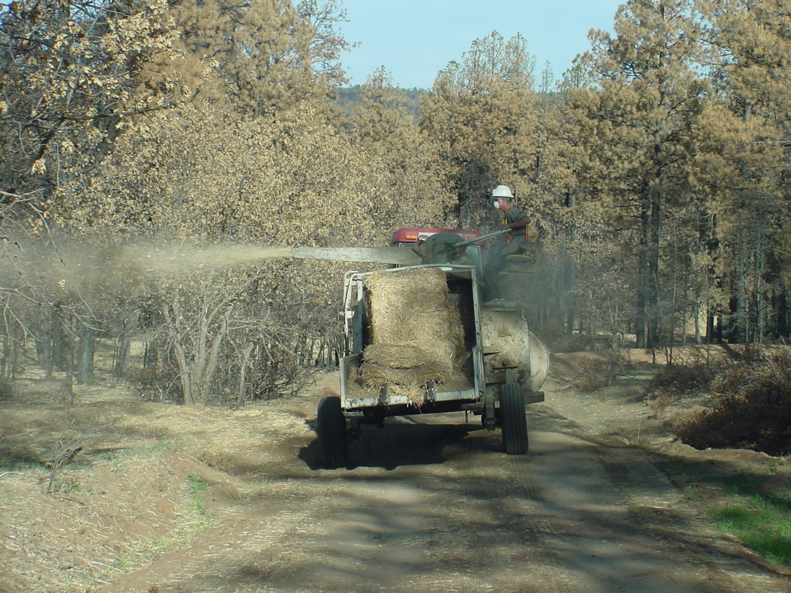 dry mulch application