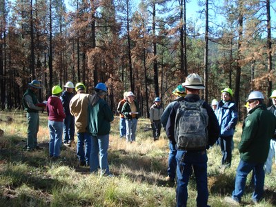 Forestry Workshop