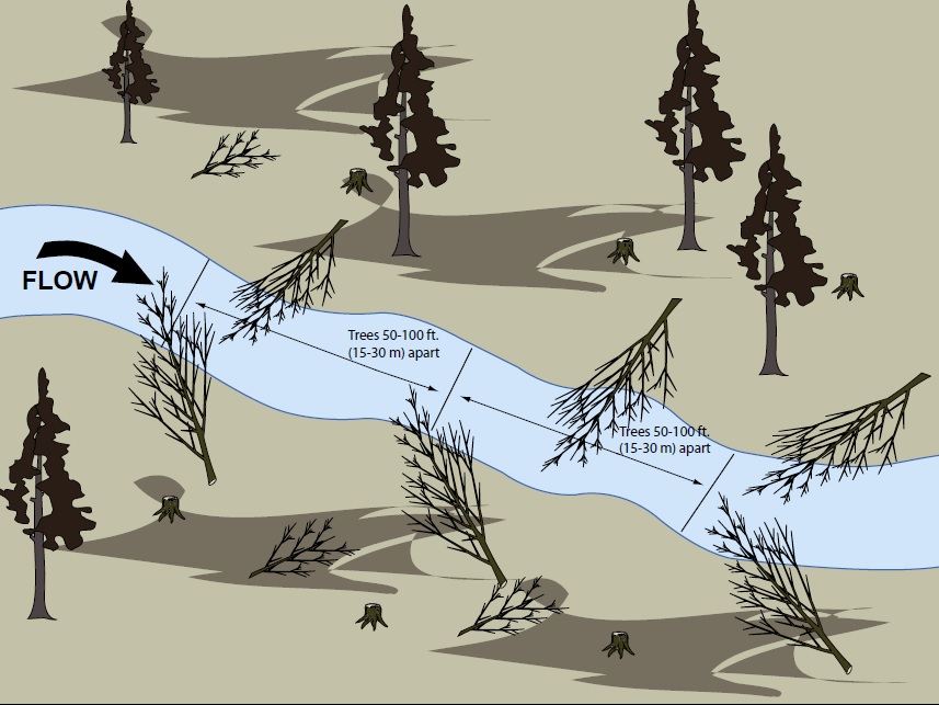 in-channel tree felling post fire