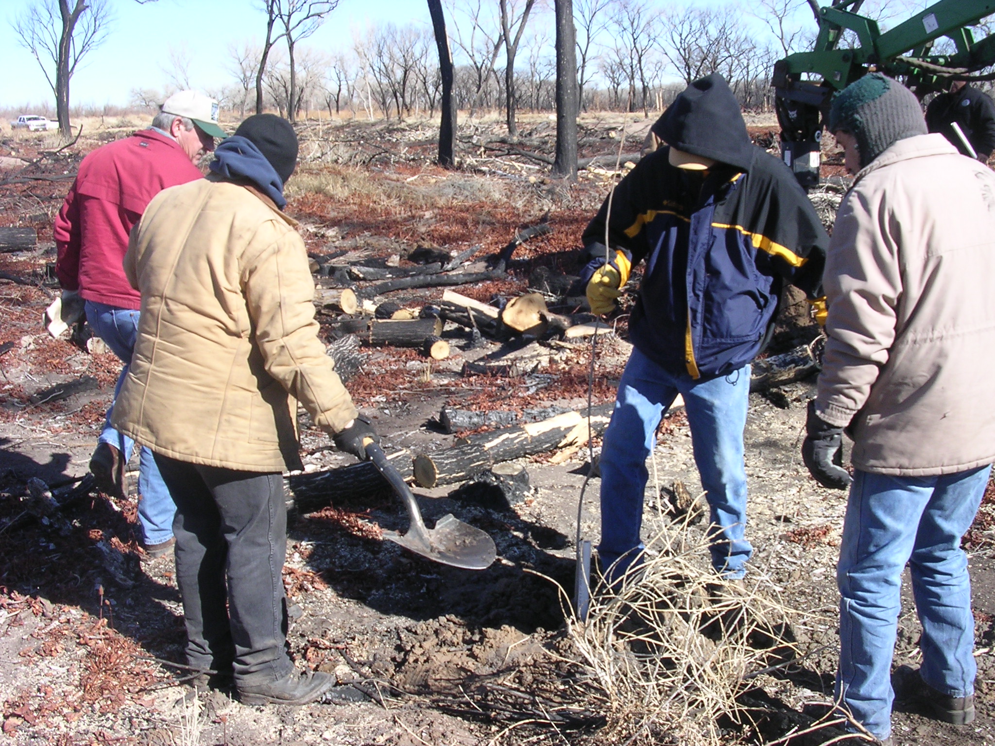 Planting in Belen