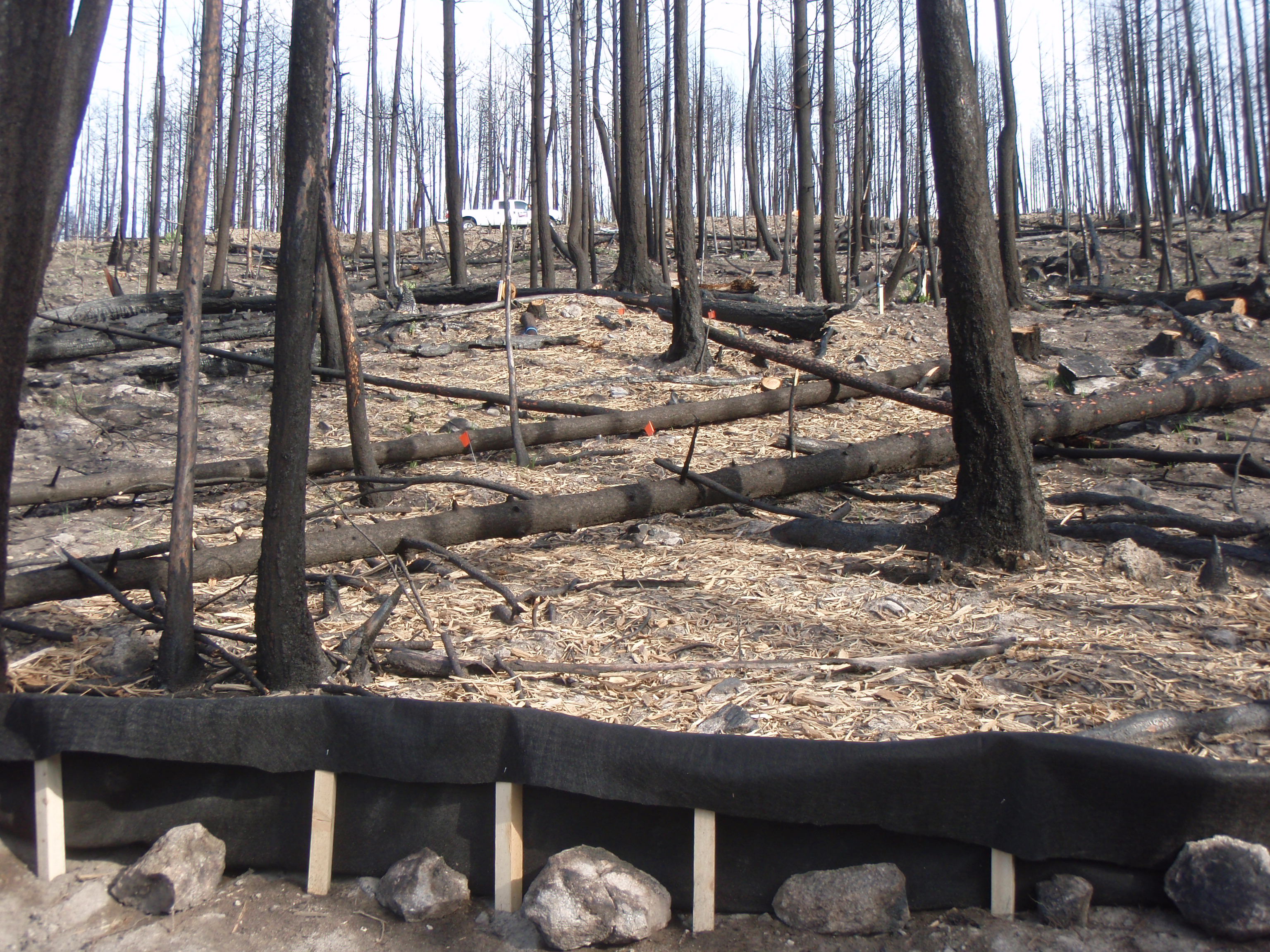 silt fence post wildfire