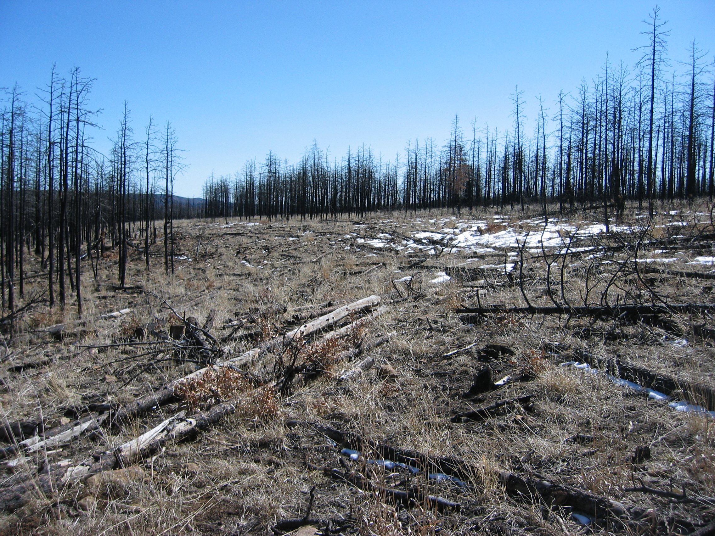 mechanical slash spreading after wildfire