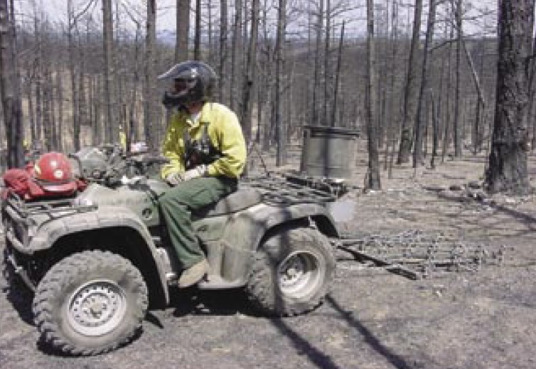 soil scarification post fire