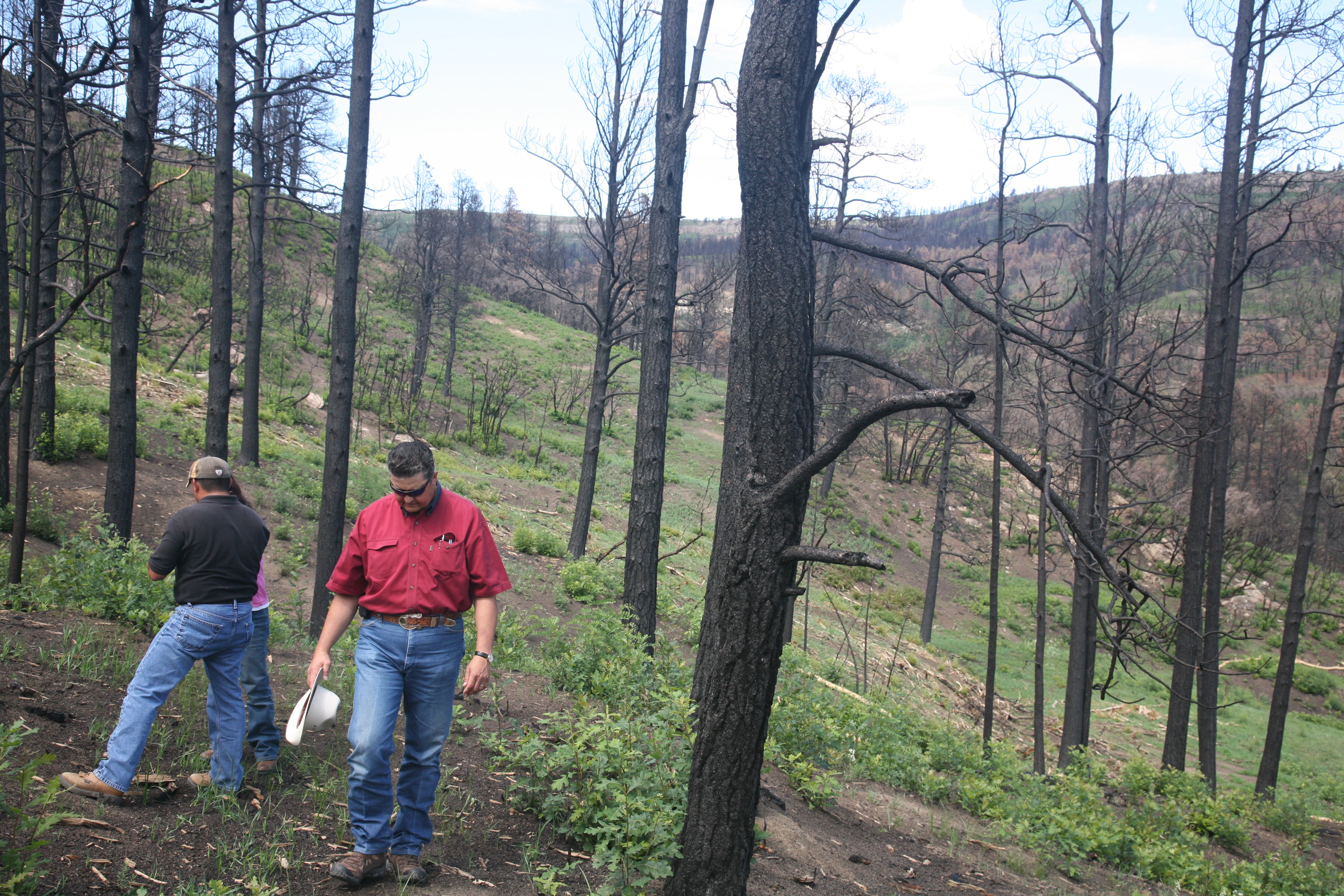 Track Fire Rehabilitiation-2