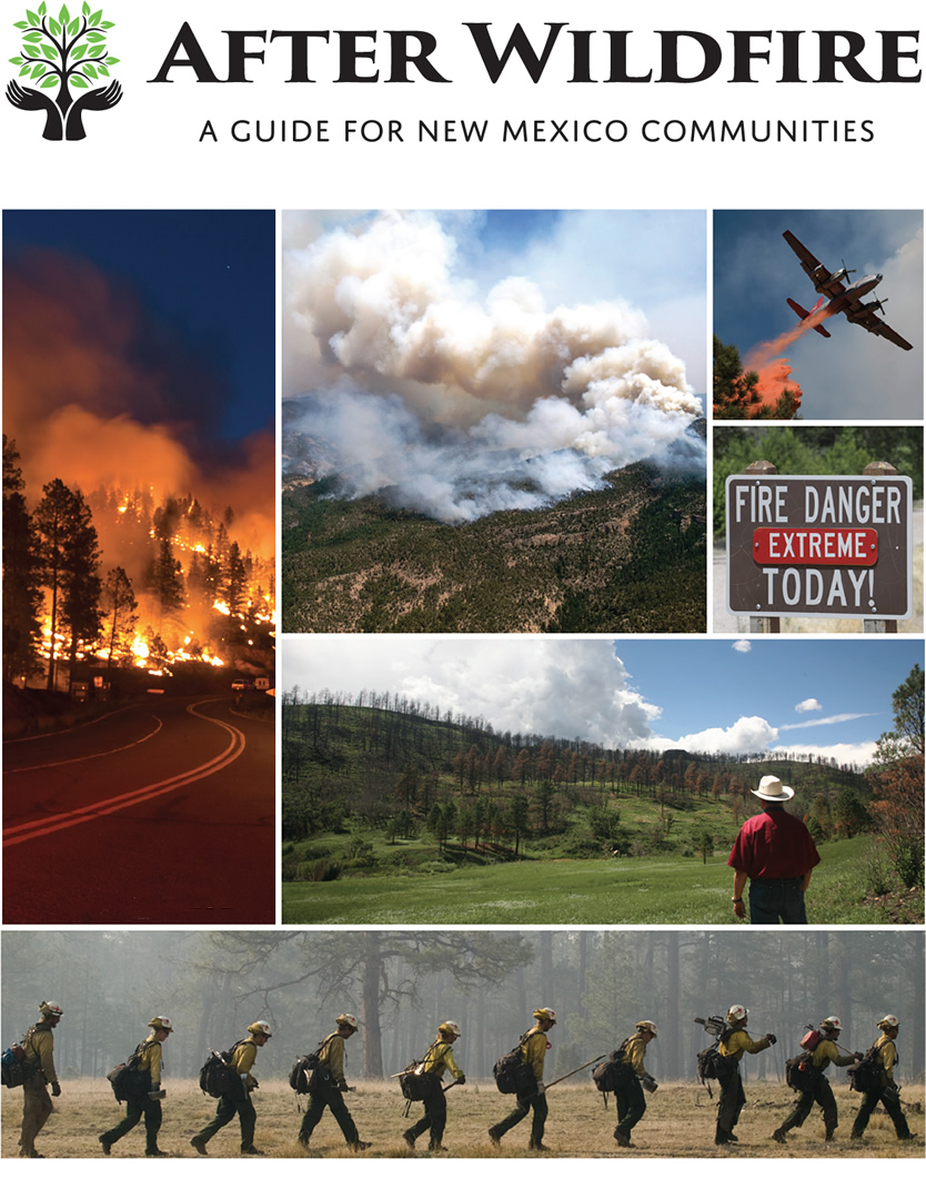 After Wildfire Guide Cover