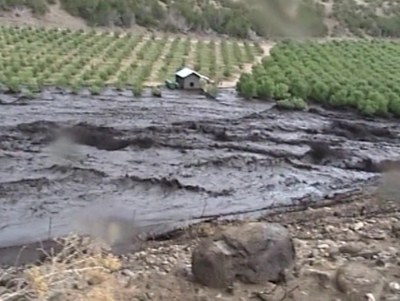 Dixon Orchard Flood Dixon’s Apple Orchard, Cochiti Canyon Flood, August 22, 2011